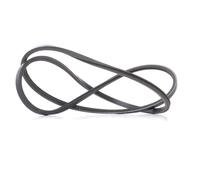 GATES 2PJ786 Cinghia servizi