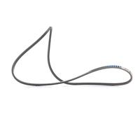 GATES 2PJ800 Cinghia servizi