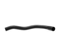 Tubo flessibile del radiatore GATES 3166