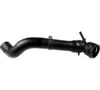Tubo flessibile del radiatore GATES 3969