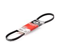 GATES 3PK753 Cinghia servizi