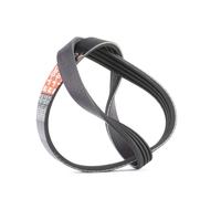 Cinghia Dei Servizi E Accessori Gates 4pk668