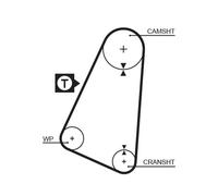 GATES 5015 Cinghia dentata per AUDI,TRABANT,VW