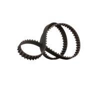 GATES 5047 Cinghia dentata