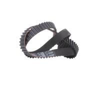5049XS Cinghia dentata (MARCA-GATES)