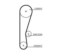 GATES 5119 Cinghia dentata