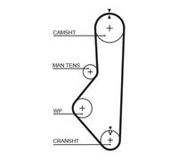 Cinghia distribuzione 5149XS GATES per MAZDA 626 II 626 II Hatchback