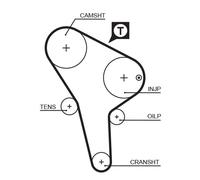 GATES 5176 Cinghia dentata per AUDI,VW