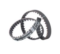 5192XS Cinghia dentata (MARCA-GATES)