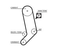 GATES 5323XS Cinghia dentata per VW LT 28-46 II Kastenwagen (2DA, 2DD, 2DH)