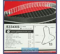 Cinghia di distribuzione GATES 5334XS