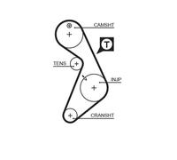 Gates 5395 Cinghia Dentata