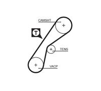 5407XS Cinghia dentata (MARCA-GATES)