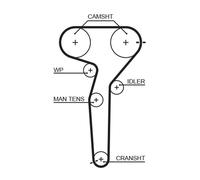 GATES 5423XS Cinghia dentata
