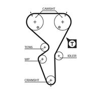 Gates Cinghia di distribuzione 5458XS per Citroën Saxo (S0, S1) e Peugeot 106 II (1)