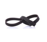 Gates Cinghia di distribuzione 5503XS Powergrip™ per Fiat Brava/Bravo/Grande Punto