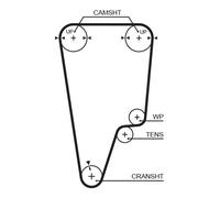 GATES 5506XS Cinghia dentata per HONDA