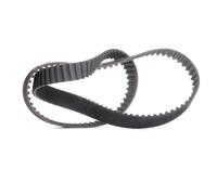 GATES 5507XS Cinghia dentata