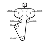 GATES 5539 Cinghia dentata per BOGDAN,LADA