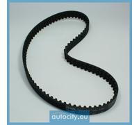 Gates 5541XS Cinghia dentata