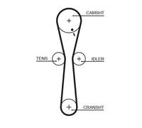 Cinghia distribuzione 5547XS GATES per ROVER LAND ROVER MG