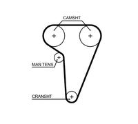 GATES 5549XS Cinghia dentata per ALFA ROMEO