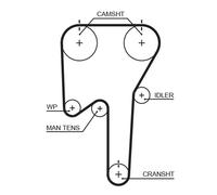 GATES 5553XS Cinghia dentata per VOLVO