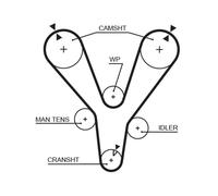 Cinghia distribuzione 5555XS GATES per KIA HYUNDAI
