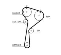 Gates Cinghia di distribuzione 5578XS Powergrip™ dentata per Renault Nissan Dacia Suzuki