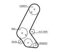 GATES 5595XS Cinghia dentata per HONDA,OPEL,VAUXHALL