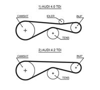 GATES 5613XS Cinghia dentata per AUDI