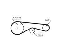 GATES 5625XS Cinghia dentata per CITROËN,JAGUAR,LAND ROVER,PEUGEOT