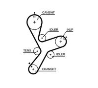 GATES 5641XS Cinghia dentata