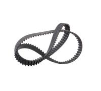 5657XS Cinghia dentata (MARCA-GATES)