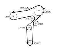 GATES 5719XS Cinghia dentata