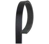 Cinghia Poly V Gates 5PK705SF Micro-v® Stretch Fit® per Ford Volvo