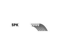 GATES 5PK838 Cinghia servizi per BMW 3 Limousine (E46) 5 Limousine (E39) 838mm
