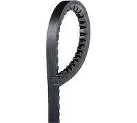 Cinghia Poly-V GATES 6463MC