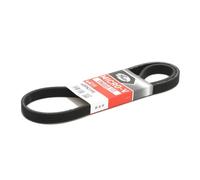 GATES 6DPK1195 Cinghia servizi per VW Golf IV Schrägheck (1J1) 1195mm