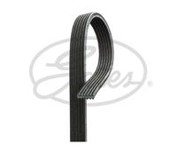 GATES 6DPK1698 Cinghia servizi Cinghia Poly-V Cinghia alternatore Cinghia dei servizi