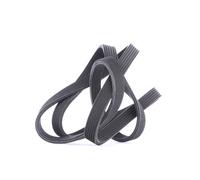 GATES Chingia Micro-V 6DPK1817