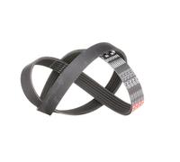 Cinghia Poly-V GATES 6PK1010