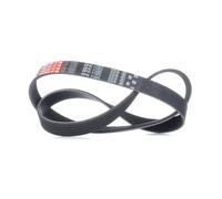 GATES 6PK1025 Cinghia servizi per VW Golf VII Schrägheck (5G1, BQ1, BE1, BE2)