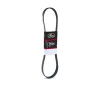 GATES 6PK1029EMD Cinghia servizi nero