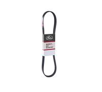 GATES 6PK1029SF Cinghia servizi nero
