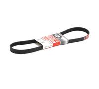 GATES 6PK1029SF Cinghia servizi per FORD Fiesta Mk6 Schrägheck (JA8, JR8) 1029mm