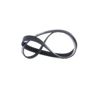 GATES 6PK1030SF Cinghia servizi