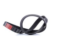 GATES 6PK1098 Cinghia servizi per VW GOLF VI (5K1) Golf V Schrägheck (1K1)