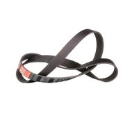 GATES 6PK1255 Cinghia servizi per FORD Transit Custom V362 Van (FY, FZ) 1255mm