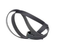 Cinghia Poly-V GATES 6PK1453